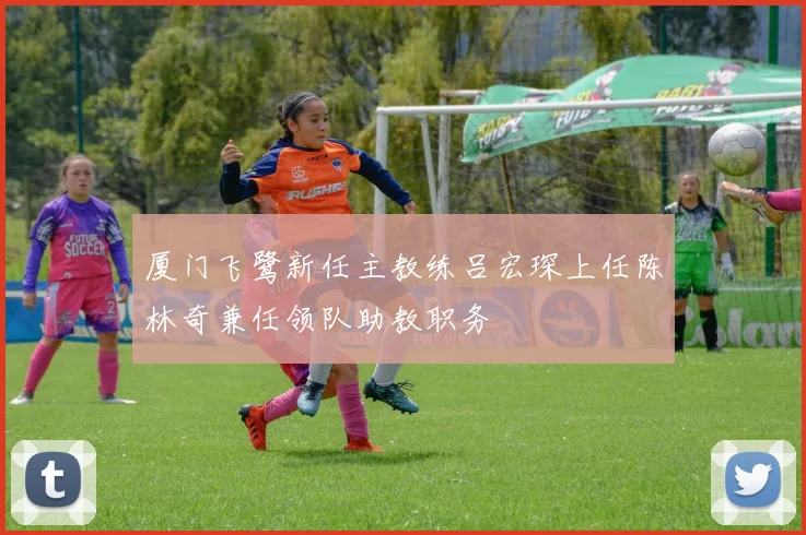厦门飞鹭新任主教练吕宏琛上任陈林奇兼任领队助教职务