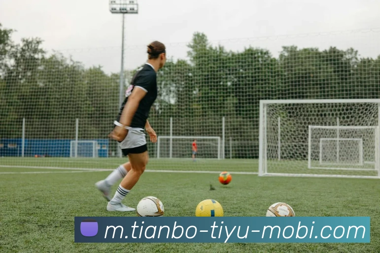 天博体育APP 高清赛事图